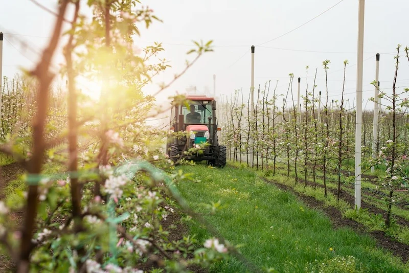 NUTRICONTROL-tracteur-roulant-dans-allee-du-verger-pulveriser-pommiers